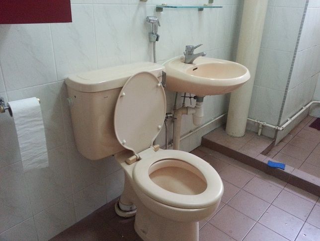 ChildrenToilet1.jpg