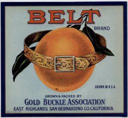 belt-of-oranges.jpg