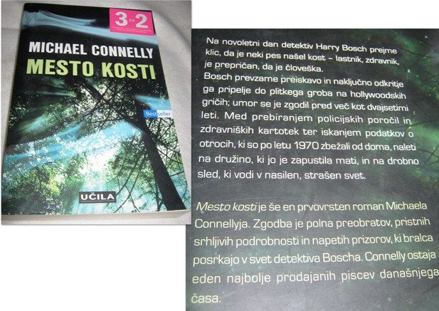 Slika