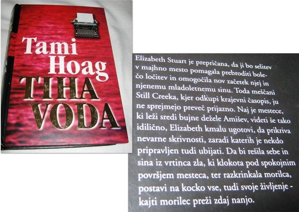 Slika