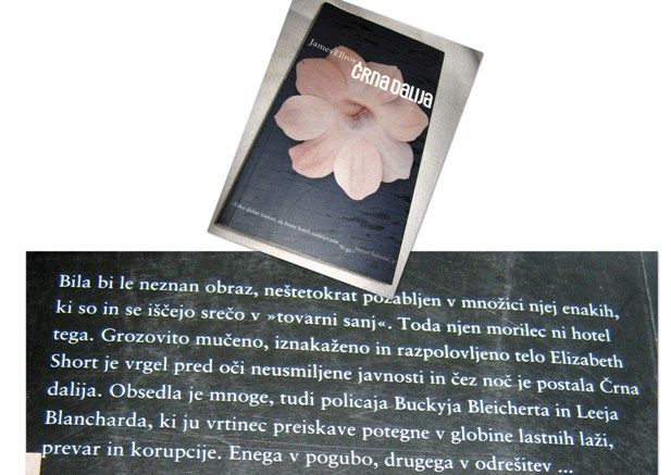 Slika