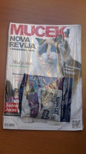 Slika