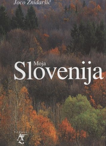 Slika