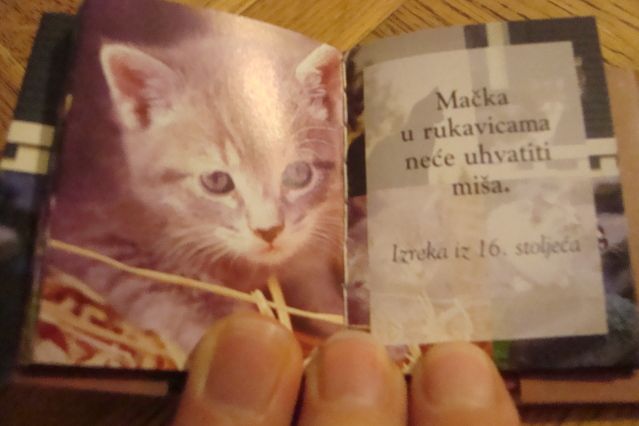 Slika