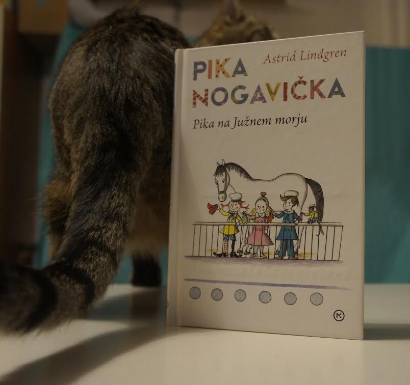Slika