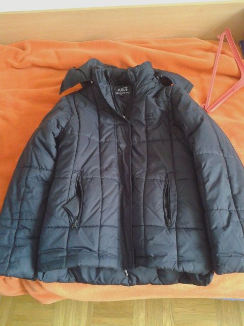 Slika