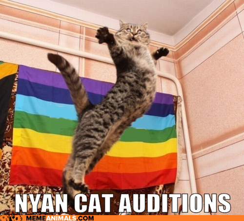 advice-animals-memes-nyan-cat-auditions.png