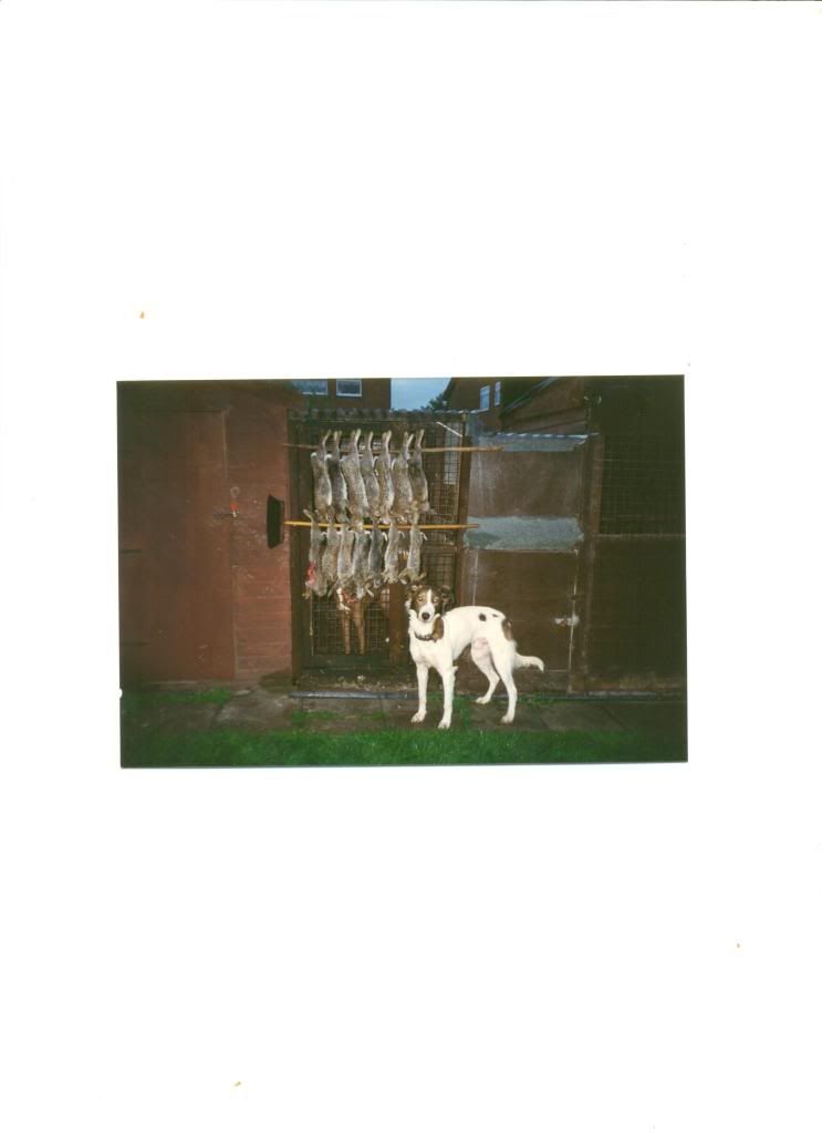 oldpics023.jpg