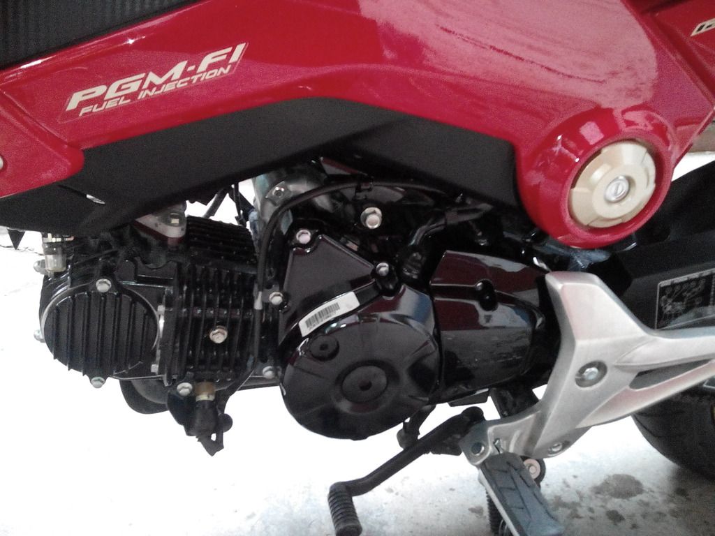 Honda MSX 125cc, 99%, đ/k 24/9/2015, odo 280km bán gấp - 3