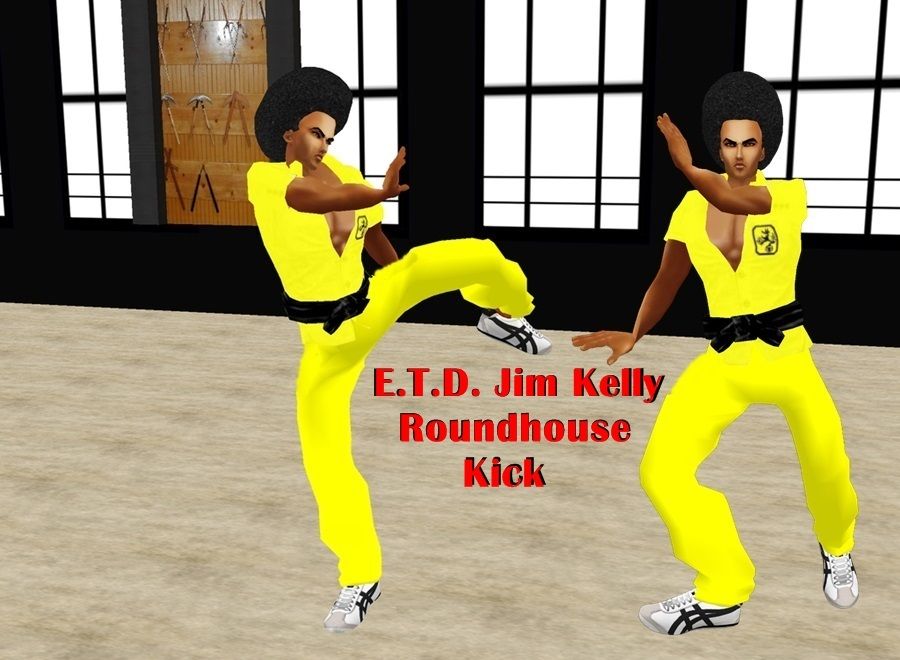  photo E.T.D. JK Roundhouse Kick 2_zpsdztpfnbs.jpg
