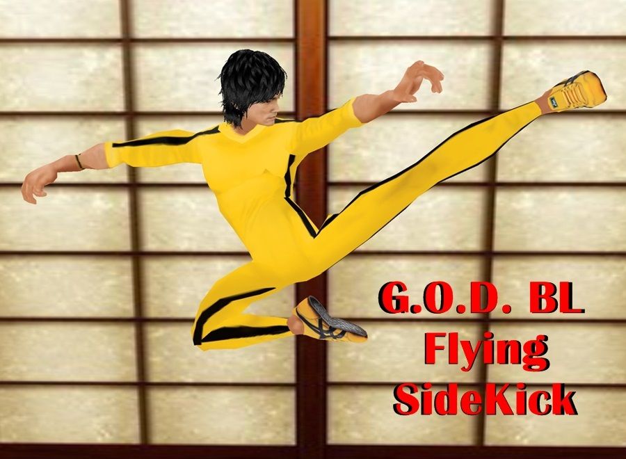  photo G.O.D. BL Flying SideKick 1_zps6cgxaajf.jpg