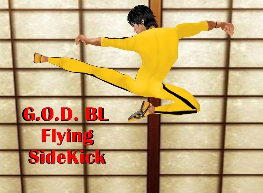  photo G.O.D. BL Flying SideKick 2_zpsquqmpouu.jpg