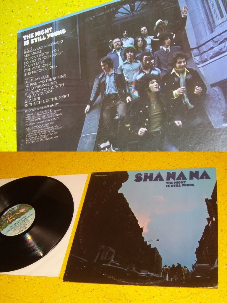 SHA NA NA - The Night Is Still Young LP