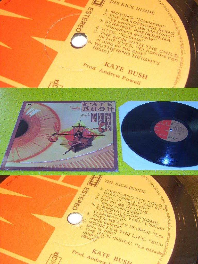 Kate Bush - The Kick Inside ( La Patada Interior )
