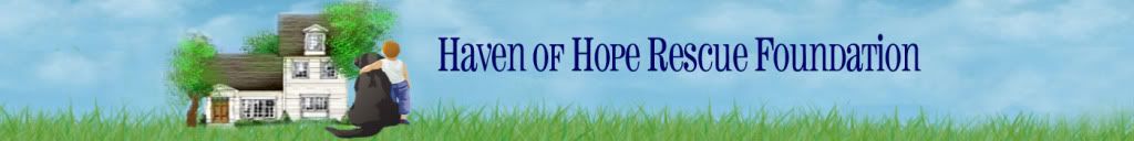 Haven of Hope Rescue Foundation
