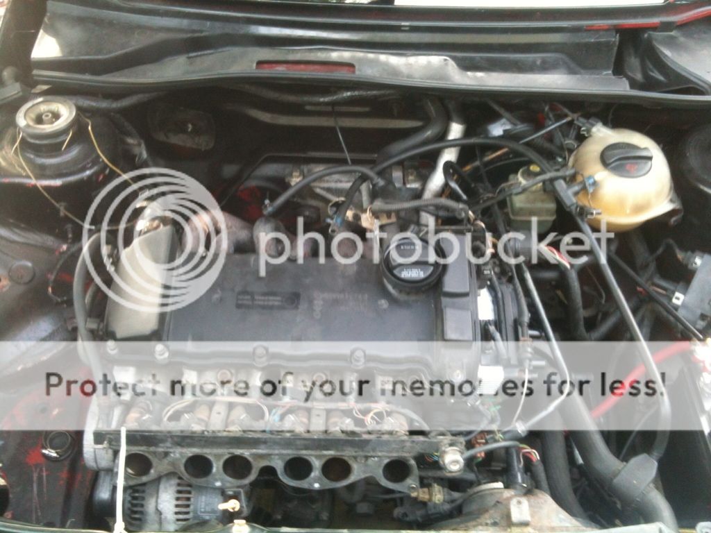 MK2 Vr6 headgasket and timing chain project | VW Vortex - Volkswagen Forum