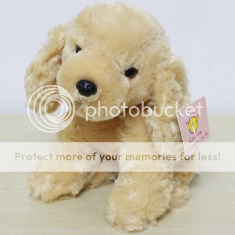   Labrador Retriever Beagle Poodle Schnauzer 7 Dog Souvenirs sport